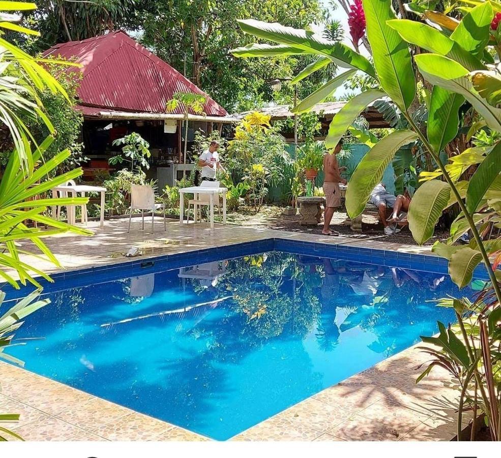 Bambu Hostel David Εξωτερικό φωτογραφία