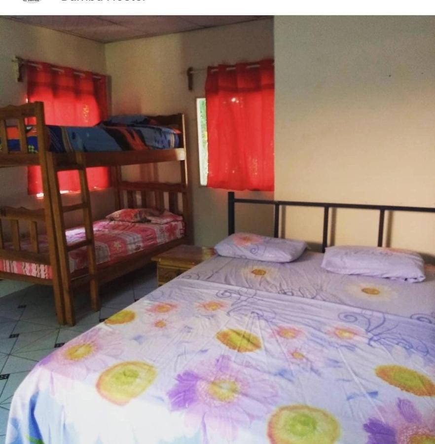 Bambu Hostel David Εξωτερικό φωτογραφία