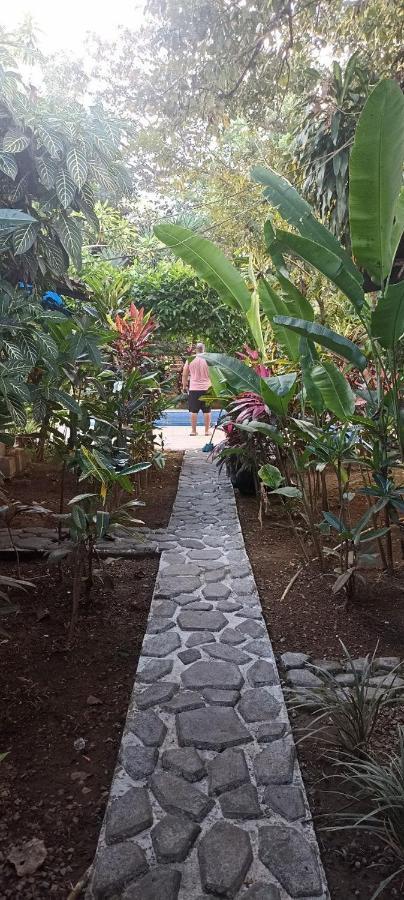 Bambu Hostel David Εξωτερικό φωτογραφία